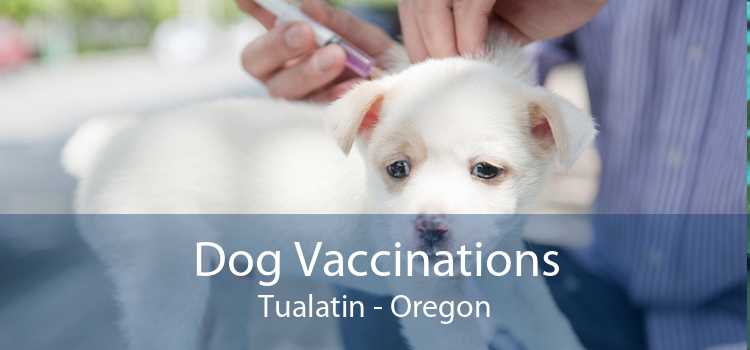 Dog Vaccinations Tualatin - Oregon