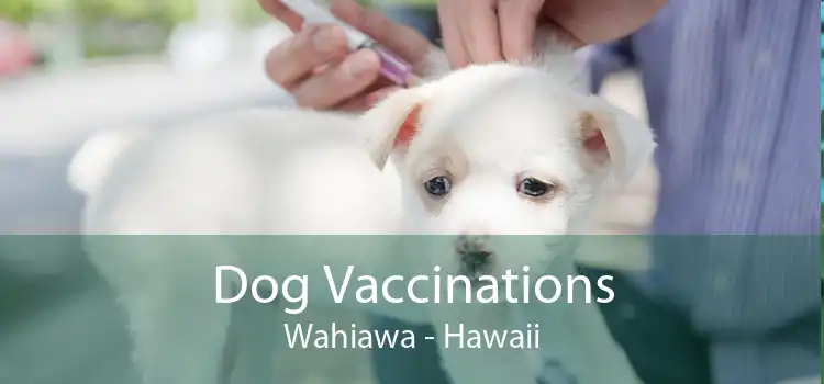 Dog Vaccinations Wahiawa - Hawaii