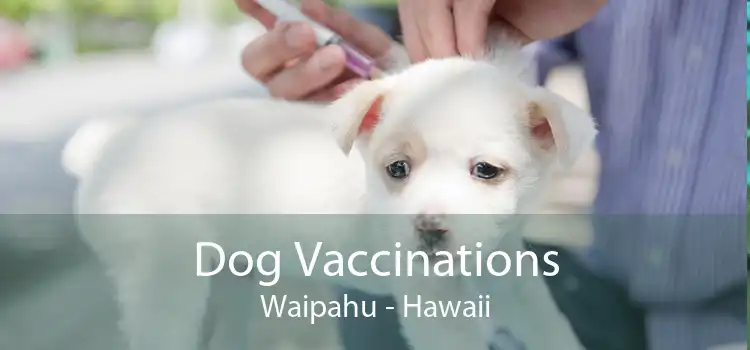 Dog Vaccinations Waipahu - Hawaii