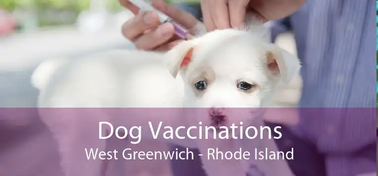 Dog Vaccinations West Greenwich - Rhode Island