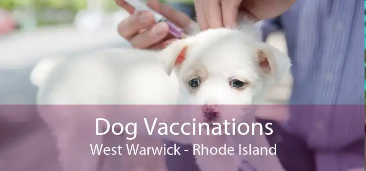 Dog Vaccinations West Warwick - Rhode Island
