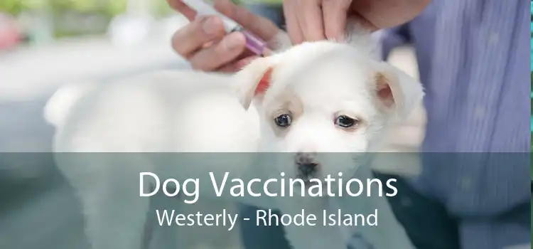 Dog Vaccinations Westerly - Rhode Island
