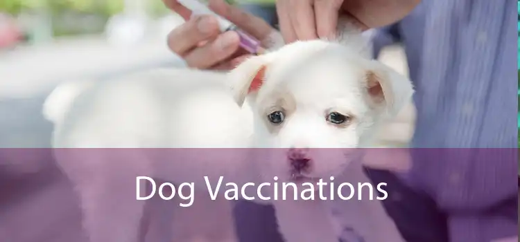 Dog Vaccinations 