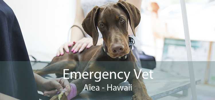 Emergency Vet Aiea - Hawaii