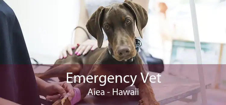 Emergency Vet Aiea - Hawaii