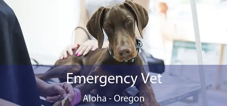 Emergency Vet Aloha - Oregon