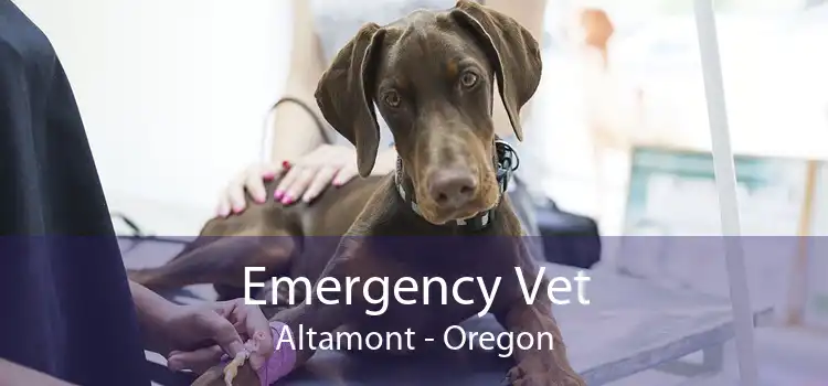 Emergency Vet Altamont - Oregon