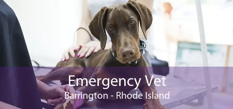 Emergency Vet Barrington - Rhode Island