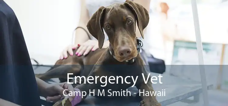 Emergency Vet Camp H M Smith - Hawaii