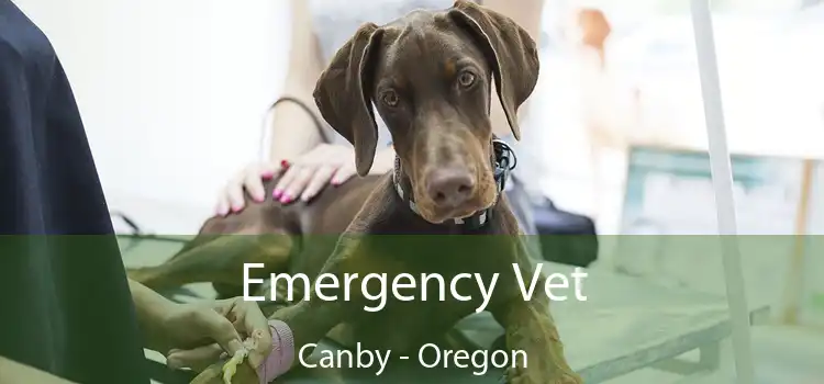 Emergency Vet Canby - Oregon