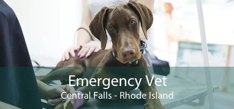 Emergency Vet Central Falls - Rhode Island