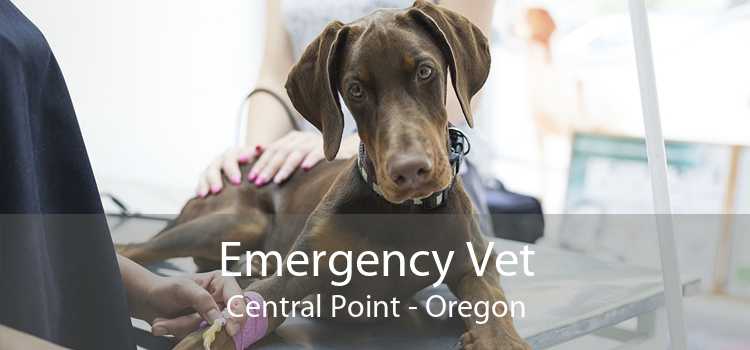 Emergency Vet Central Point - Oregon