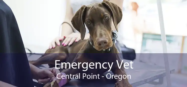 Emergency Vet Central Point - Oregon