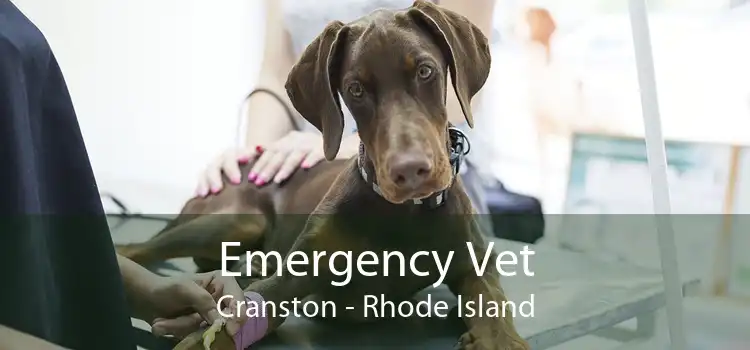 Emergency Vet Cranston - Rhode Island
