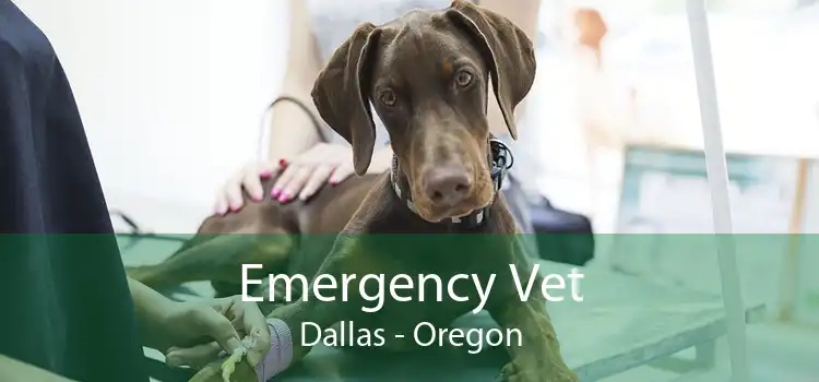Emergency Vet Dallas - Oregon