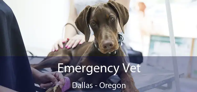 Emergency Vet Dallas - Oregon