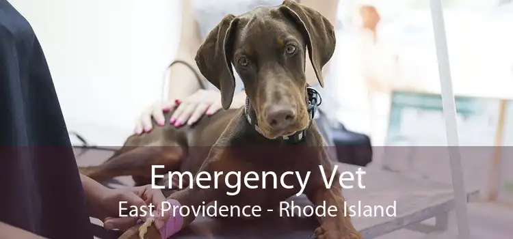 Emergency Vet East Providence - Rhode Island