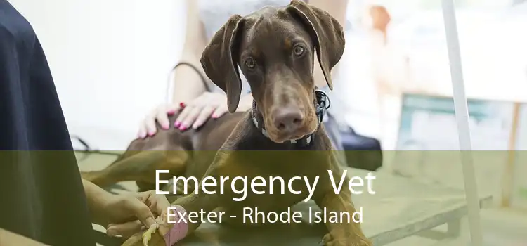 Emergency Vet Exeter - Rhode Island