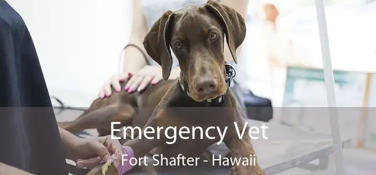 Emergency Vet Fort Shafter - Hawaii
