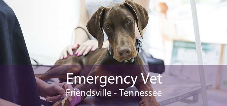 Emergency Vet Friendsville - Tennessee
