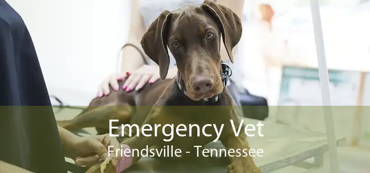 Emergency Vet Friendsville - Tennessee