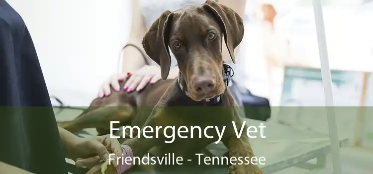 Emergency Vet Friendsville - Tennessee