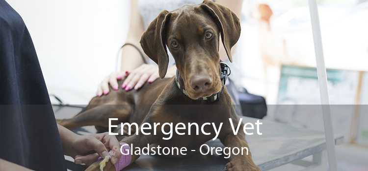 Emergency Vet Gladstone - Oregon