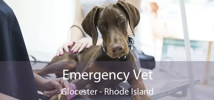 Emergency Vet Glocester - Rhode Island