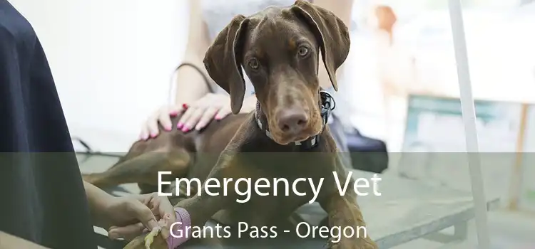 Emergency Vet Grants Pass - Oregon