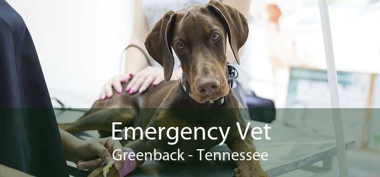Emergency Vet Greenback - Tennessee