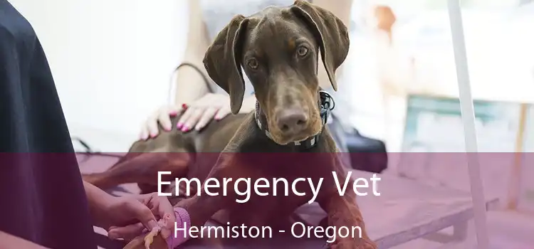 Emergency Vet Hermiston - Oregon