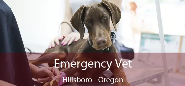 Emergency Vet Hillsboro - Oregon