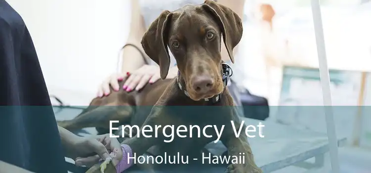 Emergency Vet Honolulu - Hawaii
