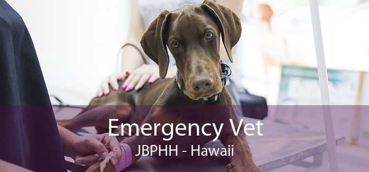 Emergency Vet JBPHH - Hawaii