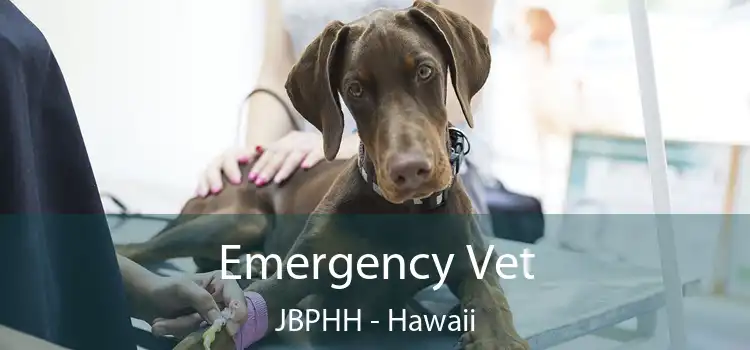 Emergency Vet JBPHH - Hawaii