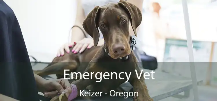 Emergency Vet Keizer - Oregon