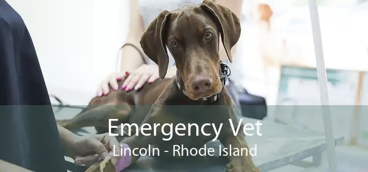 Emergency Vet Lincoln - Rhode Island