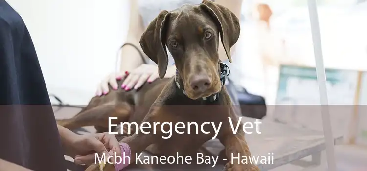 Emergency Vet Mcbh Kaneohe Bay - Hawaii