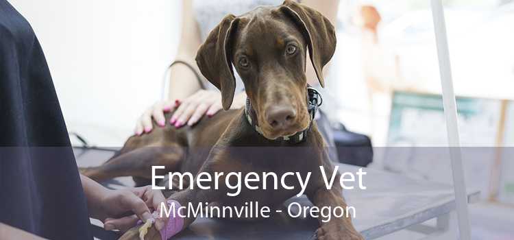 Emergency Vet McMinnville - Oregon