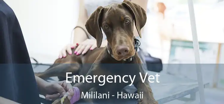 Emergency Vet Mililani - Hawaii