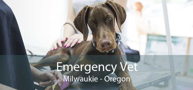 Emergency Vet Milwaukie - Oregon