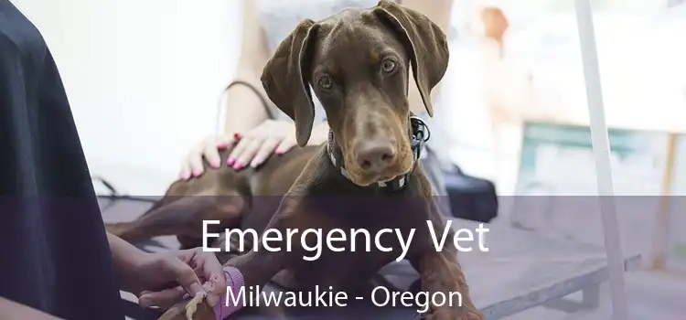 Emergency Vet Milwaukie - Oregon