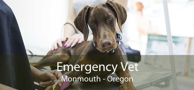 Emergency Vet Monmouth - Oregon