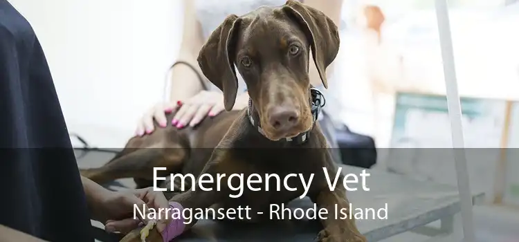 Emergency Vet Narragansett - Rhode Island