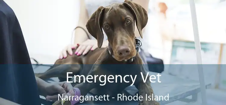 Emergency Vet Narragansett - Rhode Island