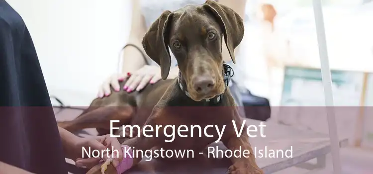 Emergency Vet North Kingstown - Rhode Island