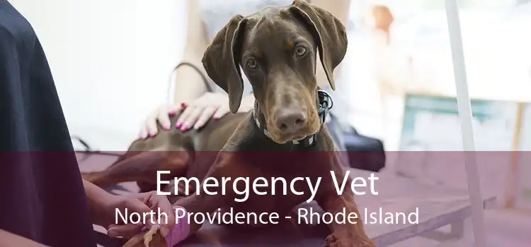 Emergency Vet North Providence - Rhode Island