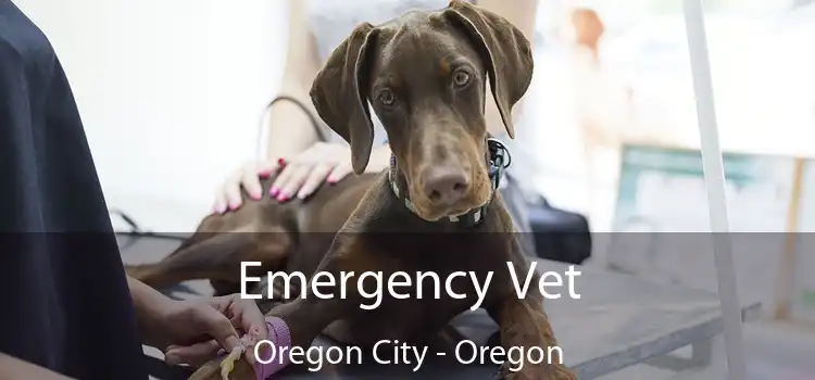 Emergency Vet Oregon City - Oregon