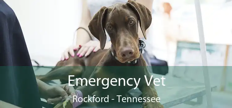 Emergency Vet Rockford - Tennessee