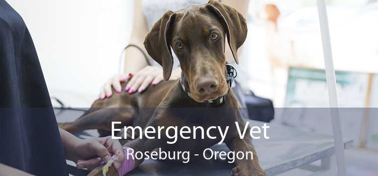 Emergency Vet Roseburg - Oregon